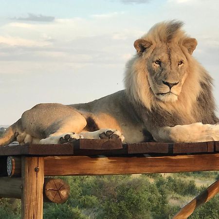 Weltevreden Game Lodge Bloemfontein Kültér fotó