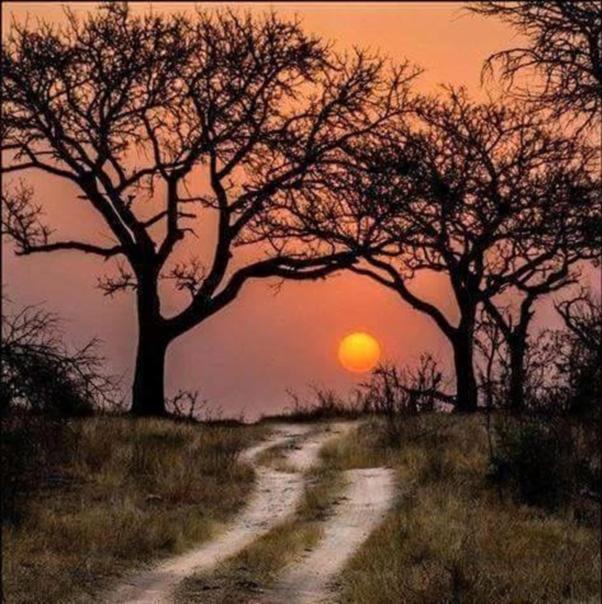 Weltevreden Game Lodge Bloemfontein Kültér fotó