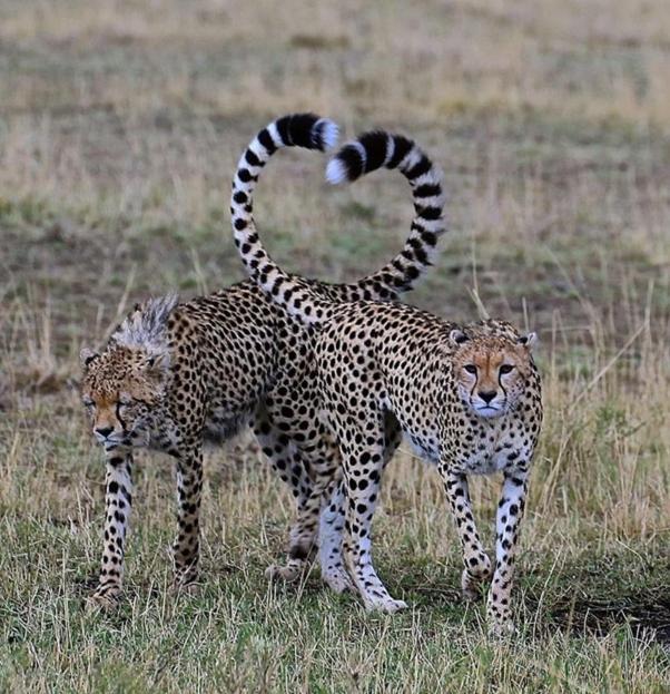 Weltevreden Game Lodge Bloemfontein Kültér fotó