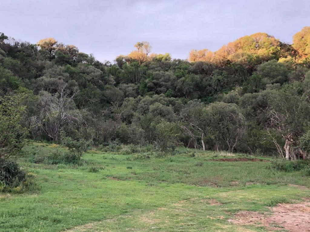 Weltevreden Game Lodge Bloemfontein Kültér fotó