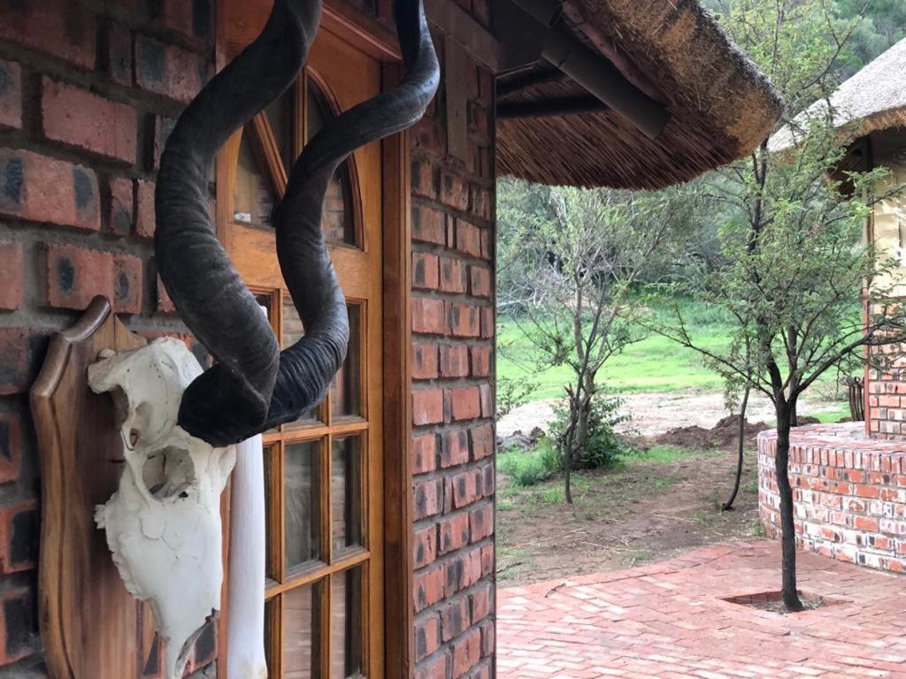 Weltevreden Game Lodge Bloemfontein Kültér fotó